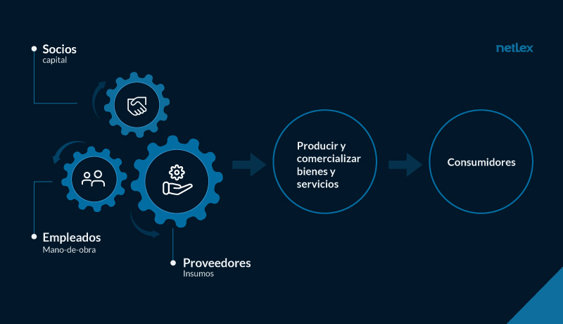 CLM-netLex-socio-proveedores-empleados_