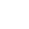 netLex-white-logo netLex-white-logo
